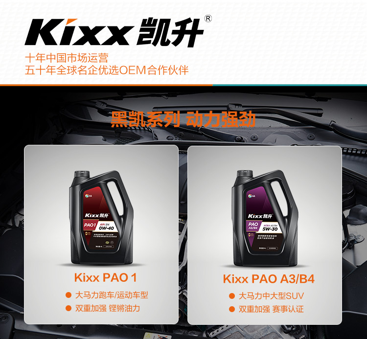 GS (Kixx) 凱升PAO全合成機(jī)油 5W-30 C3級(jí) 黑凱系列 4L-第9張圖片-鄭州市冠恒貿(mào)易有限公司【官方網(wǎng)站】-車用潤滑油服務(wù)專家